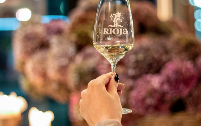 El arte de disfrutar del vino tinto Rioja Crianza de Rioja Vega