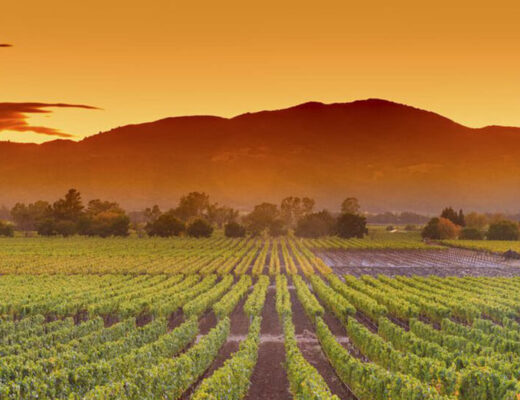 El encanto de Pride Winery en Napa Valley, California
