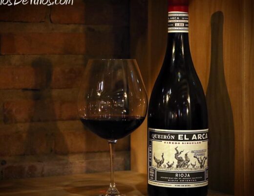 El exquisito mundo del vino tinto Gamay