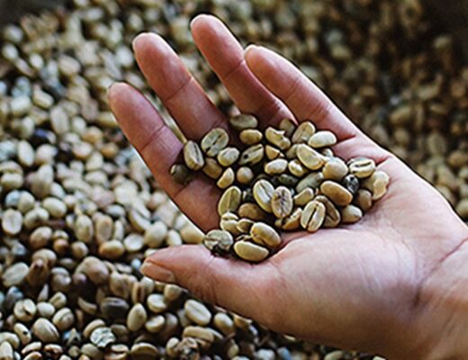 El legado de Kaldi Coffee Farm: la historia detrás de cada taza