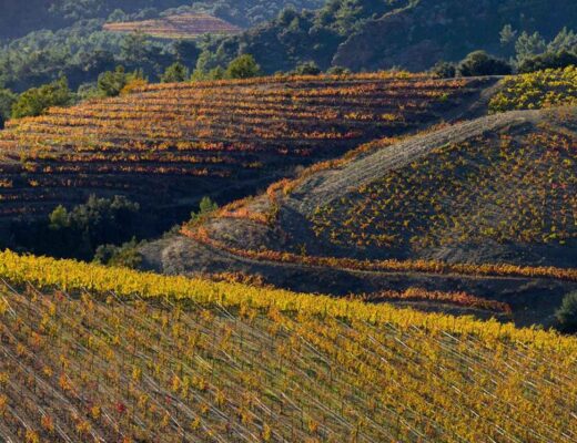 El Priorat: La joya vinícola de España