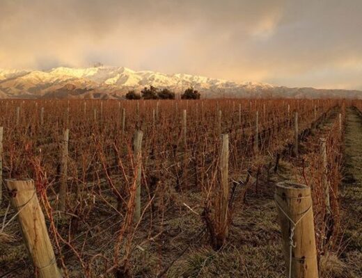 Explora la belleza de Mount Hope Winery