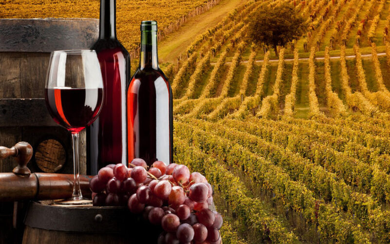 Explorando las distintas cepas de uvas tintas italianas para vino