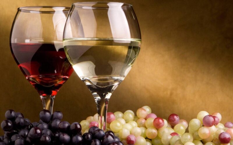 La elegancia del vino tinto en la copa Riedel