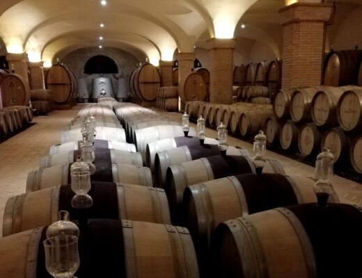 Los exclusivos viñedos de la región de la Toscana en Italia